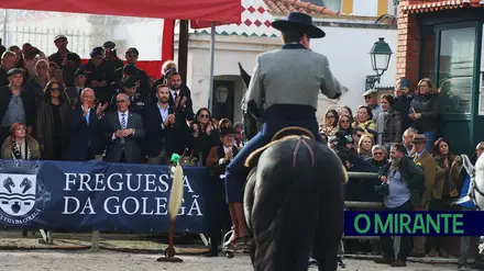 Feira Nacional do Cavalo regressa à Golegã