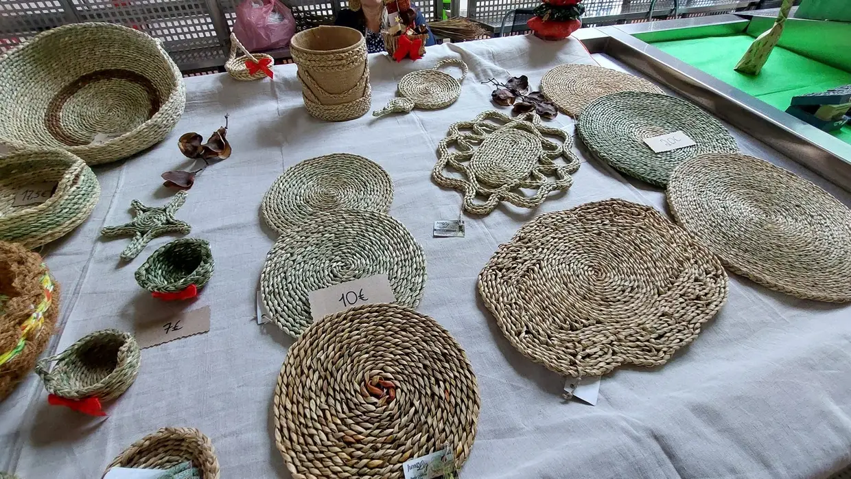 Concurso de abóboras de Ferreira do Zêzere coroou exemplar com 60 quilos