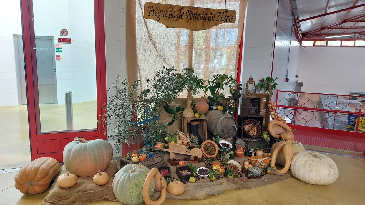 Concurso de abóboras de Ferreira do Zêzere coroou exemplar com 60 quilos