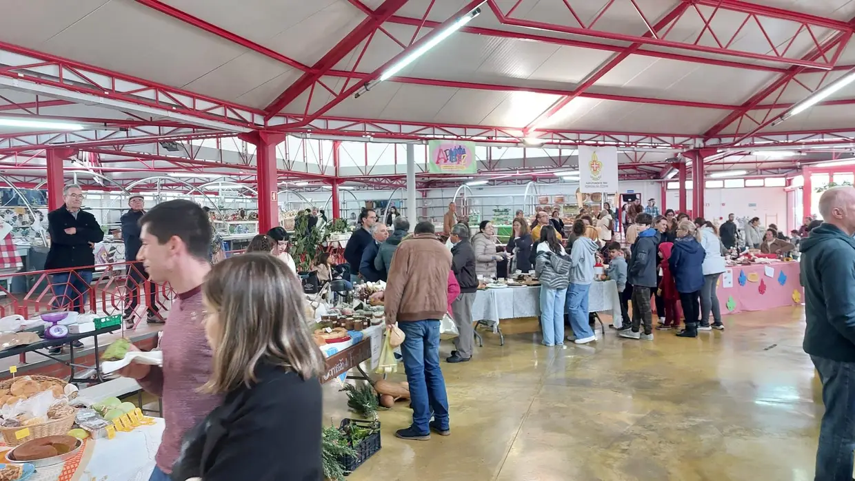 Concurso de abóboras de Ferreira do Zêzere coroou exemplar com 60 quilos