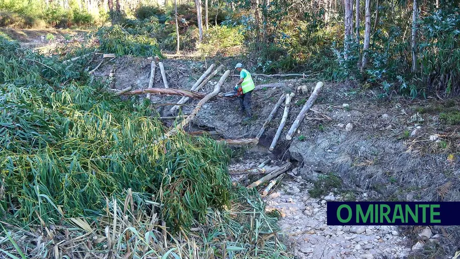 Contestação nas obras de requalificação na ribeira de Rio de Moinhos em Abrantes