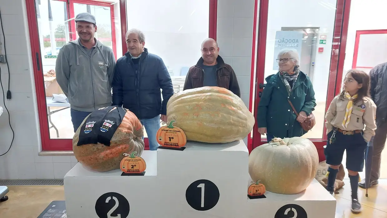 Concurso de abóboras de Ferreira do Zêzere coroou exemplar com 60 quilos