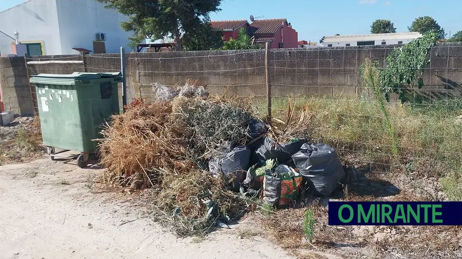Queixas com deposição indevida de resíduos em Marinhais Queixas com deposição indevida de resíduos em Marinhais