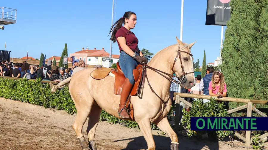Feira Nacional do Cavalo com balanço positivo e recorde de participantes Feira Nacional do Cavalo com balanço positivo e recorde de participantes