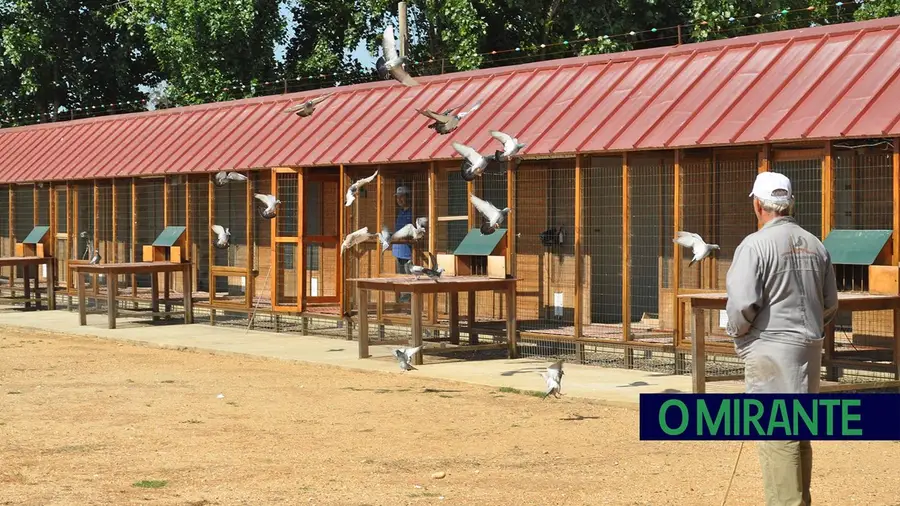 Sede da Sociedade Columbófila de Riachos precisa de obras de requalificação Sede da Sociedade Columbófila de Riachos precisa de obras de requalificação