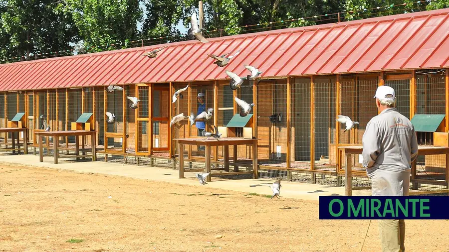 Columbófila de Riachos pede apoio ao município para realizar obras em sede degradada Columbófila de Riachos pede apoio ao município para realizar obras em sede degradada