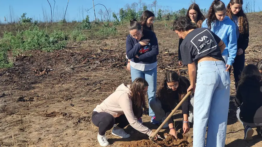 Alunos de Ourém plantaram árvores para assinalar Dia da Floresta Autóctone