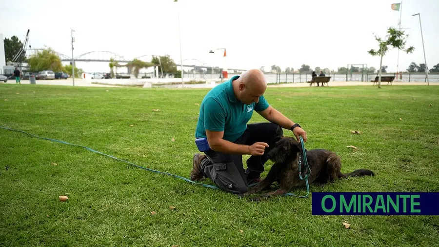 Vila Franca de Xira lança vídeo para sensibilizar para adopção responsável Vila Franca de Xira lança vídeo para sensibilizar para adopção responsável