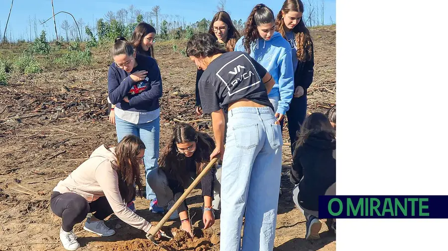 Alunos de Ourém plantaram árvores em terreno destruído por incêndio