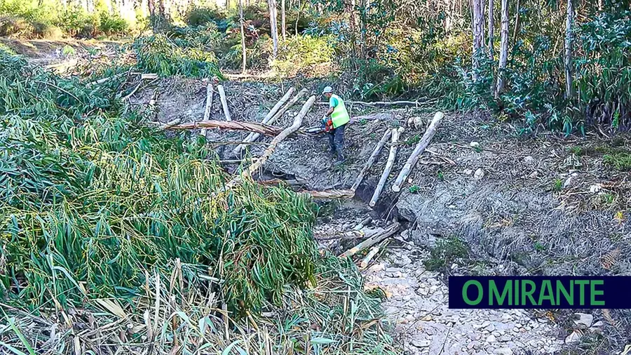 Obra na ribeira de Rio de Moinhos acende debate entre autarcas da Câmara de Abrantes