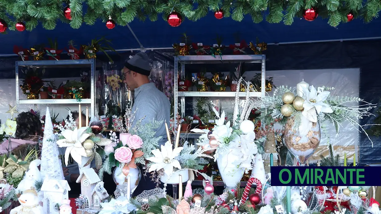 O espírito de Natal em Santa Cita