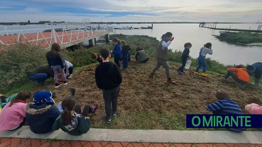 Projeto STOPDeserTEJO sensibilizou alunos para a preservação ambiental