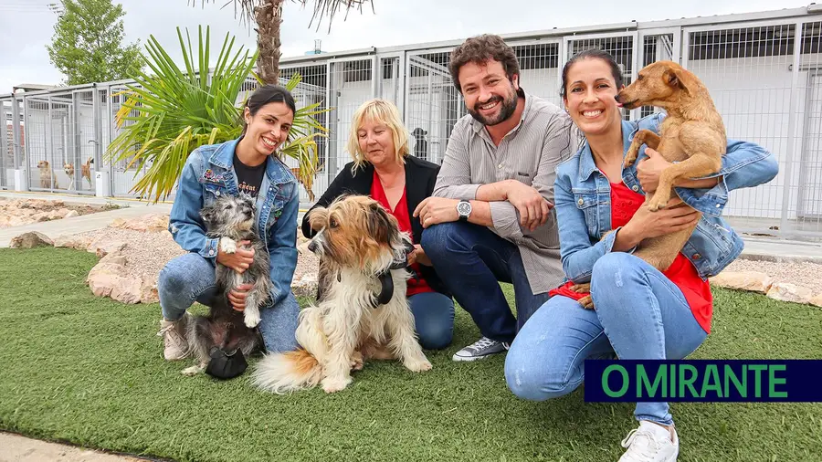 Canil de Tomar recebe 13 mil euros para melhorar condições e serviços veterinários Canil de Tomar recebe 13 mil euros para melhorar condições e serviços veterinários
