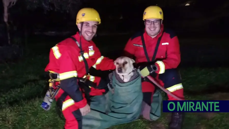 Bombeiros de Abrantes resgatam cão de dentro de poço