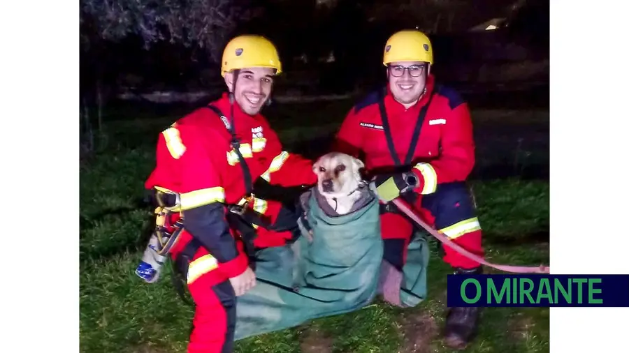 Bombeiros de Abrantes resgatam cão de dentro de poço