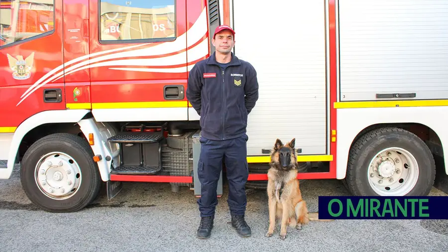 Mia é a nova cadela de busca e salvamento dos Bombeiros do Entroncamento Mia é a nova cadela de busca e salvamento dos Bombeiros do Entroncamento