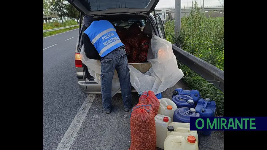 Polícia Marítima caça 900 quilos de amêijoa ilegal na Póvoa de Santa Iria