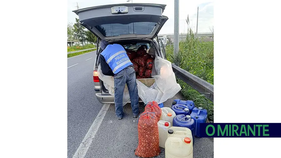 Polícia Marítima apreende 900 quilos de amêijoa ilegal na Póvoa de Santa Iria