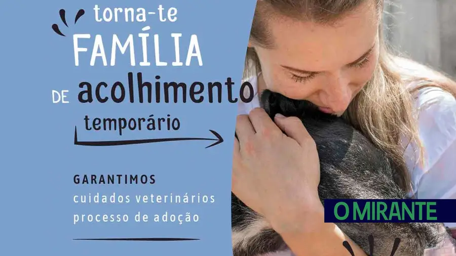 Projecto de acolhimento temporário de animais em Santarém