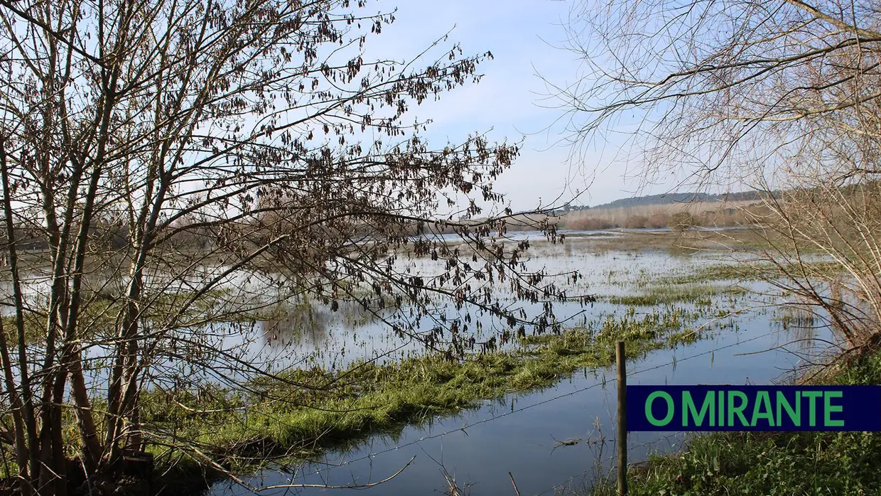 Um passeio de seis quilómetros pela Reserva Natural do Paúl do Boquilobo