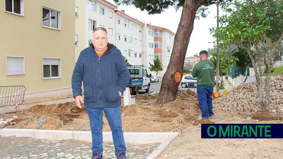 Árvore inclinada junto a escola motiva preocupação em Castanheira do Ribatejo