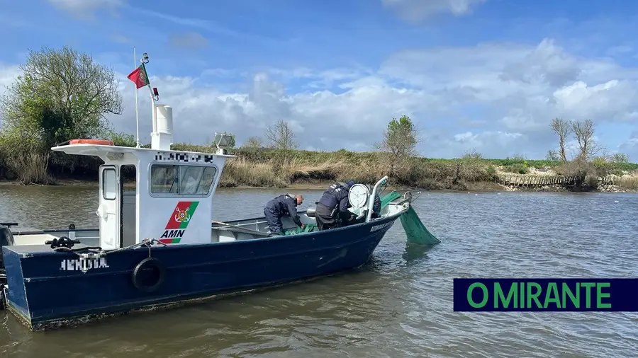 Polícia Marítima apreende 13 quilos de meixão no Tejo