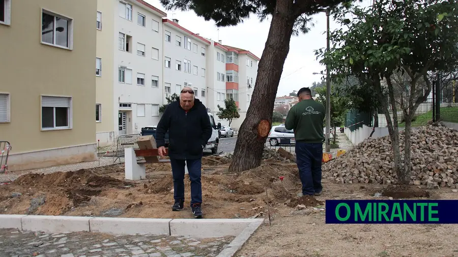 Município de VFX diz que árvores que preocupam moradores em Castanheira estão em boas condições