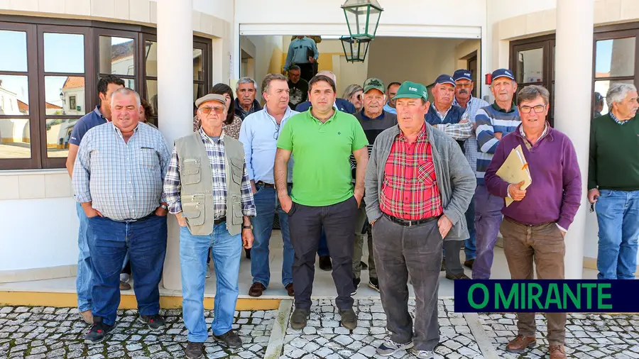 Agricultores de Vila Nova de São Pedro desesperados com gado à solta que destrói culturas