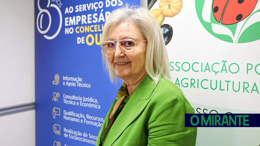 Falta de alojamento é um problema para a contratação de pessoas qualificadas Falta de alojamento é um problema para a contratação de pessoas qualificadas