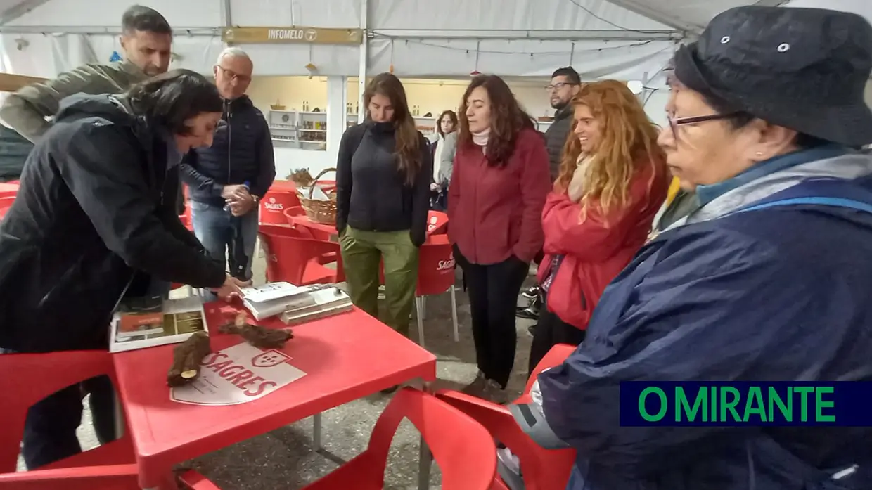 7º Festival do Cogumelo da Parreira vai decorrer até dia 3 de Março