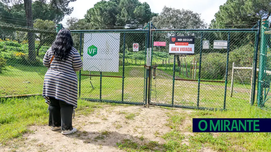 Jovens atingidos a tiro em antiga exploração de canábis em Benavente