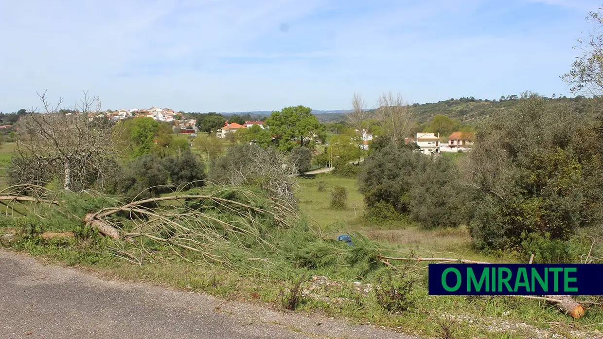 Vendaval no Arneiro das Milhariças deixou rasto de destruição