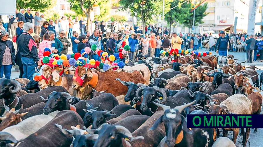 Turismo do Centro com dois projectos premiados em Berlim