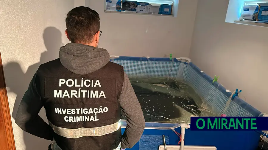 Mega-operação da Polícia Marítima em Benavente e Vila Franca de Xira