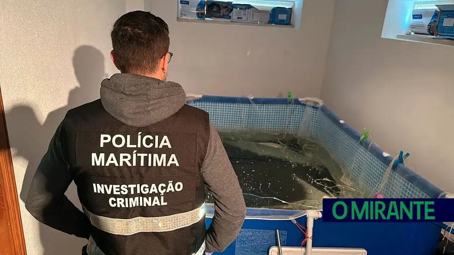 Mega-operação da Polícia Marítima em Benavente e Vila Franca de Xira