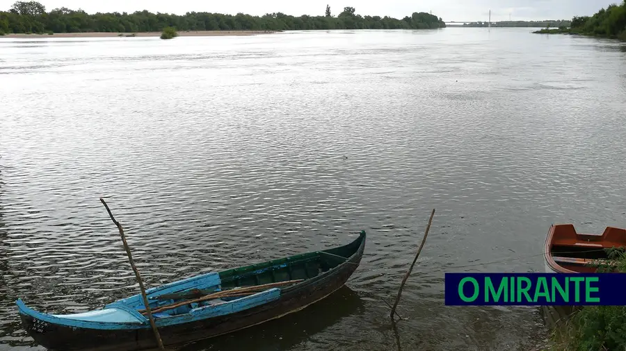 Movimento proTEJO queixa-se por Espanha não cumprir caudais ecológicos no Tejo Movimento proTEJO queixa-se por Espanha não cumprir caudais ecológicos no Tejo