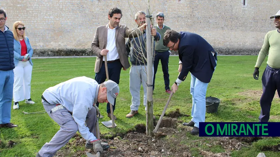 Santarém assinala Dia da Árvore com plantação de nove exemplares