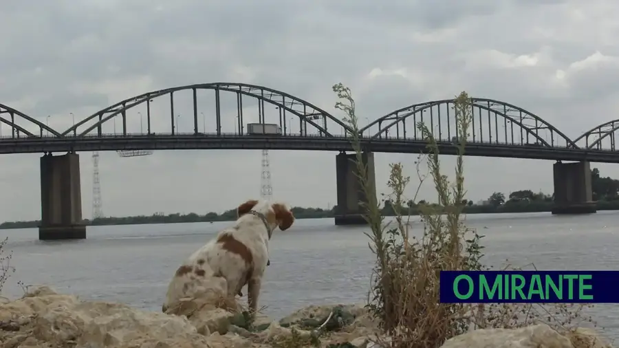 Ponte de Vila Franca de Xira vai receber obras de 22 milhões de euros Ponte de Vila Franca de Xira vai receber obras de 22 milhões de euros
