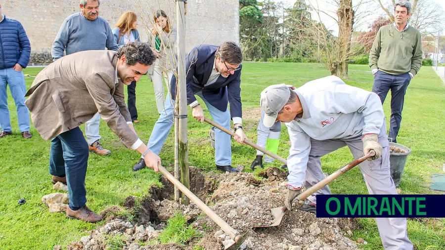 Mãos à obra!