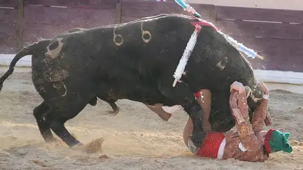 João Rui Salgueiro - Forcados Amadores da Chamusca