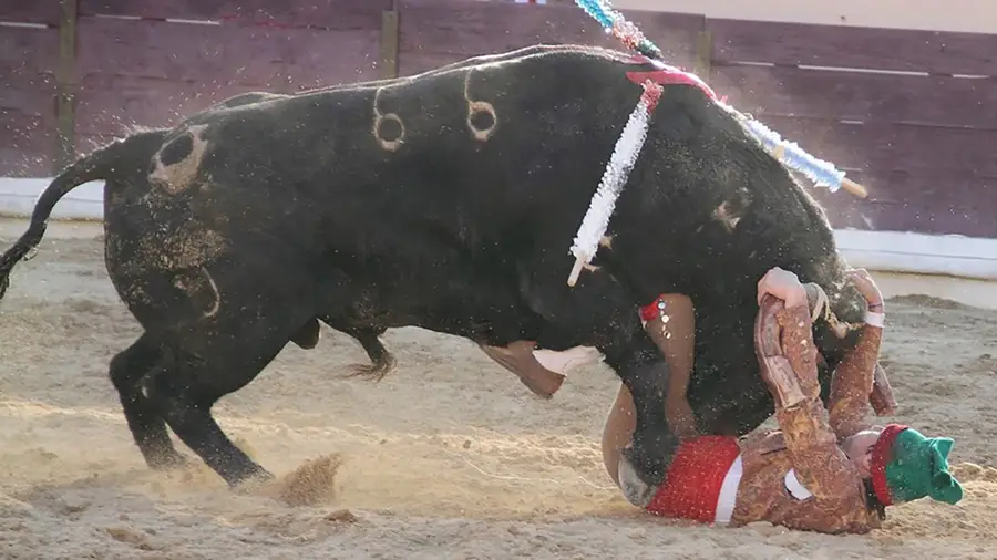 João Rui Salgueiro - Forcados Amadores da Chamusca