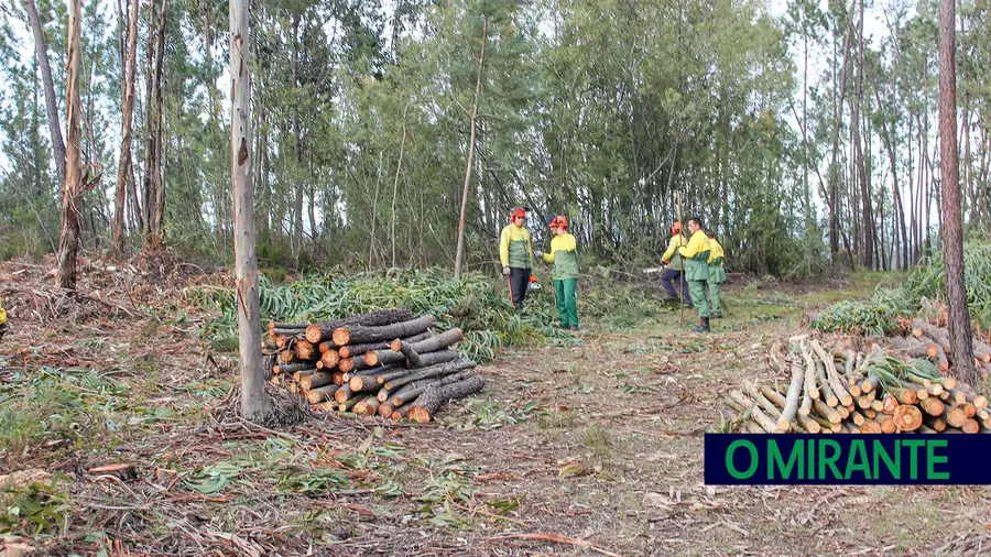 Preservação de espaços florestais e combate a incêndios é preocupação no Sardoal