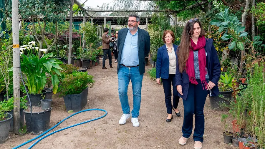 Viveiros municipais da Póvoa de Santa Iria produziram 3 mil árvores Viveiros municipais da Póvoa de Santa Iria produziram 3 mil árvores