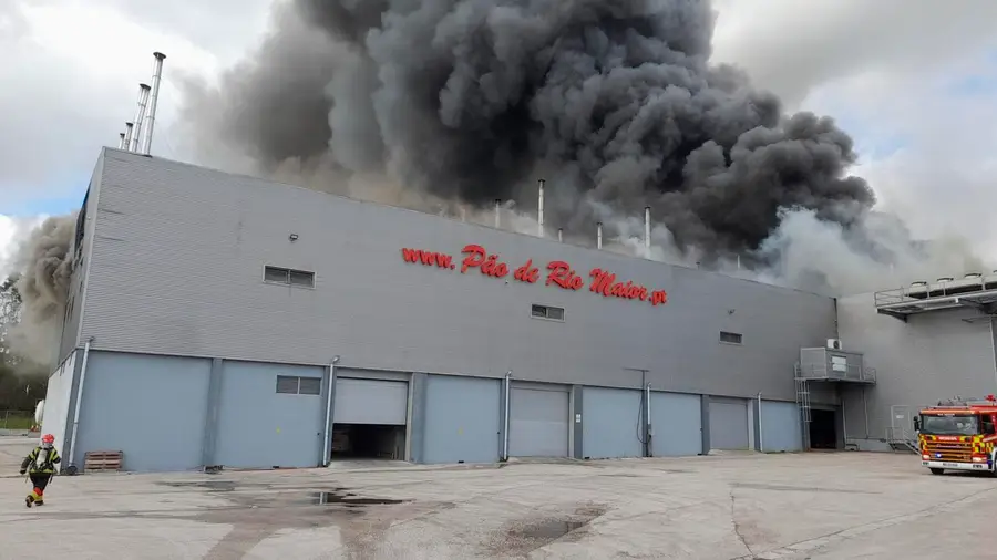 Incêndio destrói fábrica de pão em Rio Maior