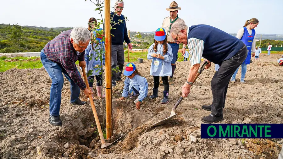 Dia da Árvore em Ourém assinalado com plantação de amieiros, sobreiros e carvalhos