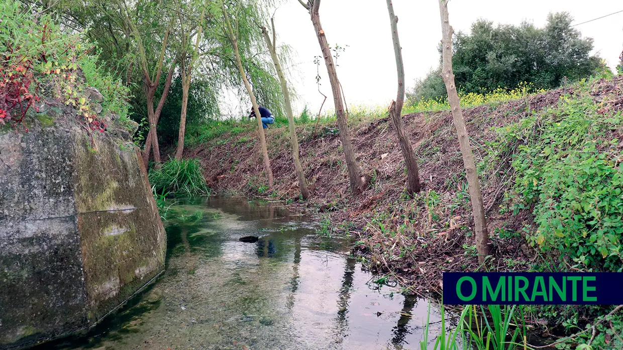 Valorização ambiental da ribeira das Fontainhas na Romeira