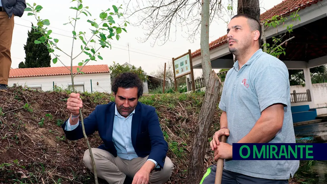 Valorização ambiental da ribeira das Fontainhas na Romeira