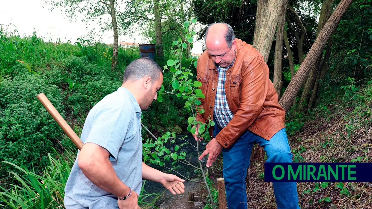 Valorização ambiental da ribeira das Fontainhas na Romeira