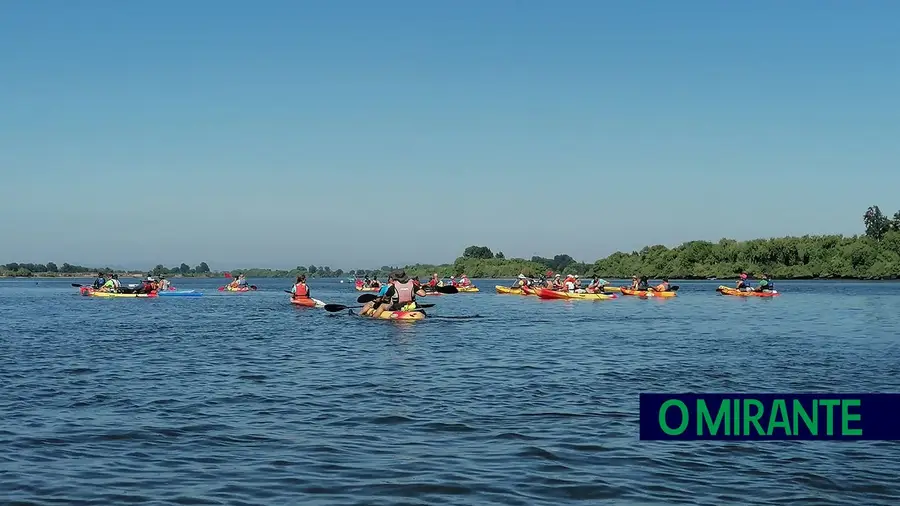 Cinco etapas em canoagem para percorrer os rios Tejo e Sorraia