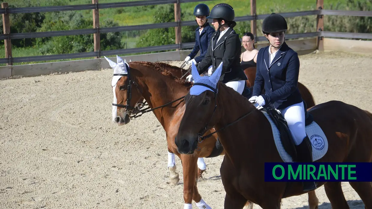 Cavalos e dança juntos na primeira Gala Equestre de Vila Franca de Xira